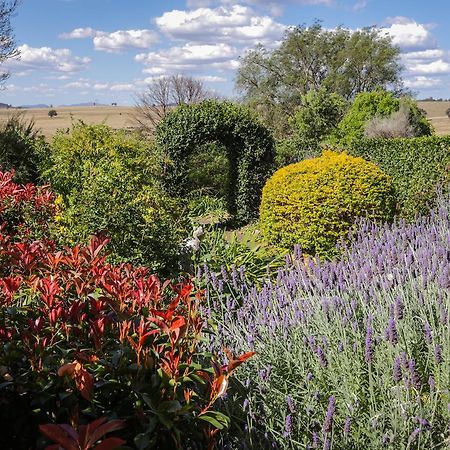Strathearn Park Lodge Scone Buitenkant foto